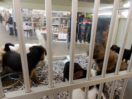 Pet Store «Back To Nature Pets & Grooming», reviews and photos, 110 N Dupont Hwy, New Castle, DE 19720, USA