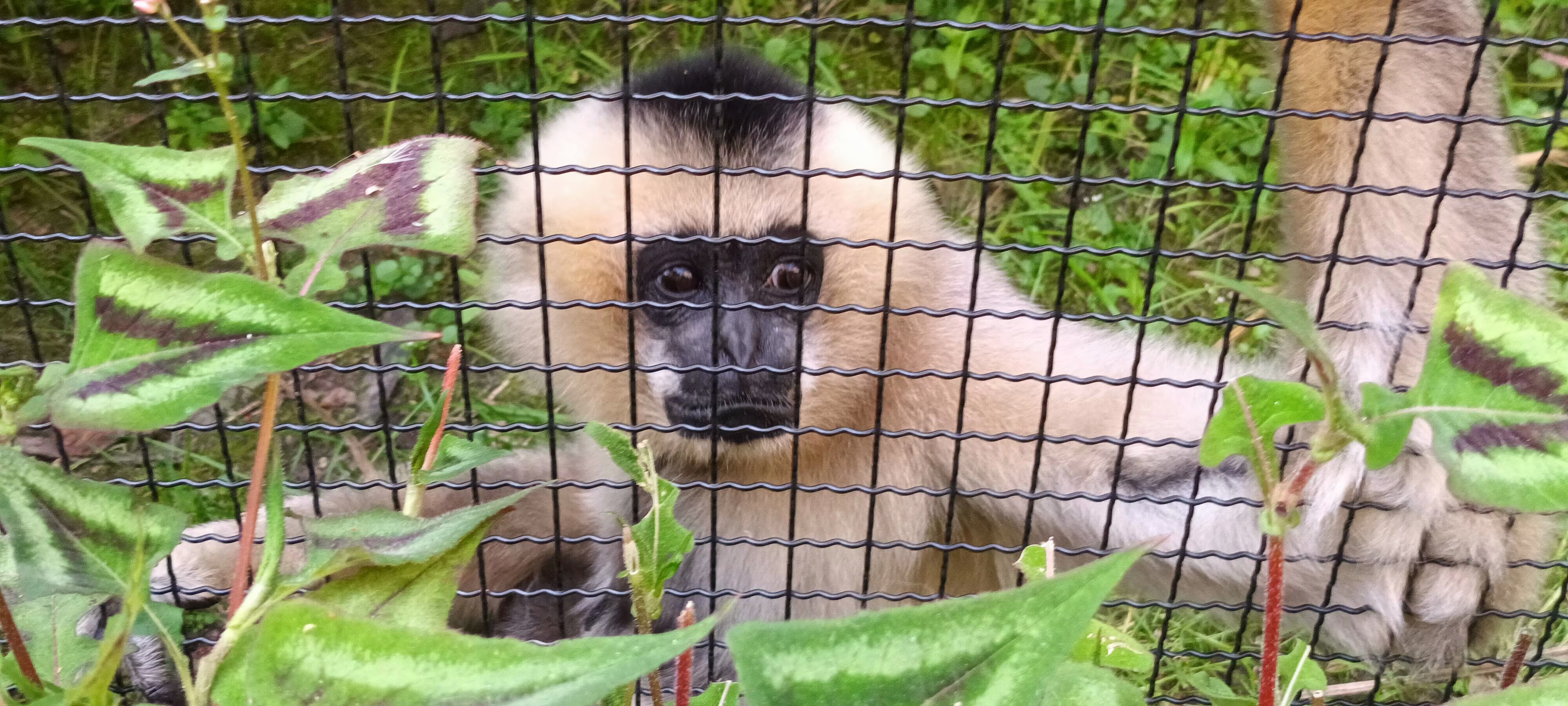 Photo n° 4 de l'avis de Veldeman.a fait le 27/05/2023 à 14:26
