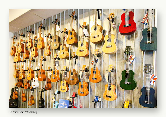 Van de Moer Instruments Kortrijk - Winkel