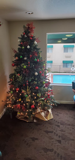 Holiday Inn Auburn, an IHG Hotel image