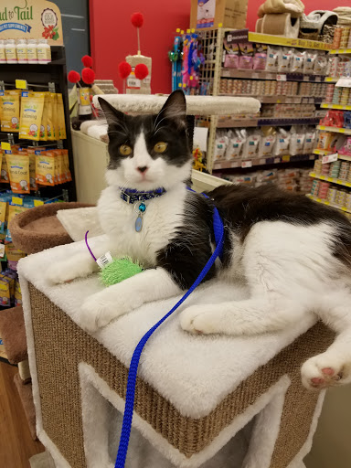 Pet Supply Store «Pet Supermarket, Inc.», reviews and photos, 3911 Lemmon Ave, Dallas, TX 75219, USA