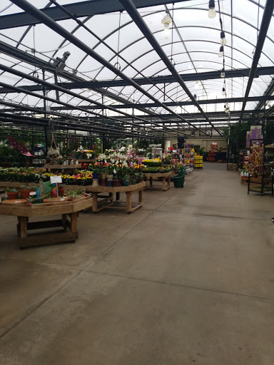 Garden Center «H J Benken Florist & Garden», reviews and photos, 6000 Plainfield Rd, Cincinnati, OH 45213, USA