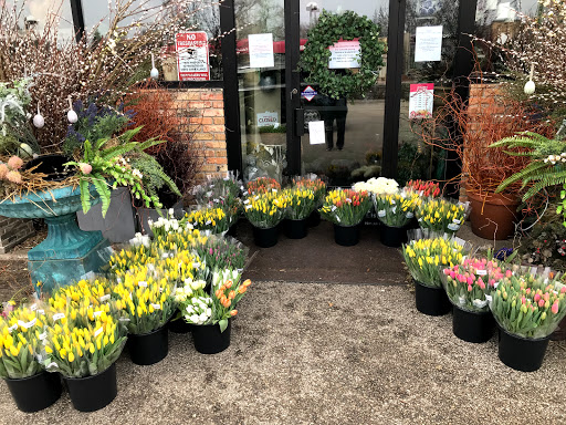 Florist «Arts & Flowers Inc», reviews and photos, 6011 Excelsior Blvd, Minneapolis, MN 55416, USA