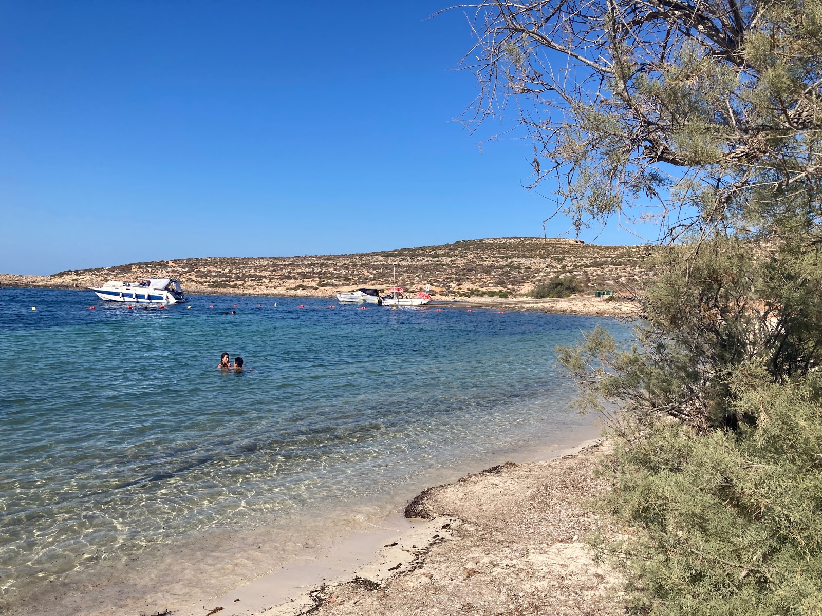 Santa Maria Bay'in fotoğrafı çok temiz temizlik seviyesi ile