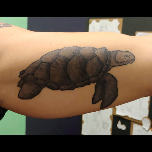 Explore awesome sleeve tattoo ideas for guys, creative tattoo ideas in Bellingham, available at Ink Drop Tattoo Shop