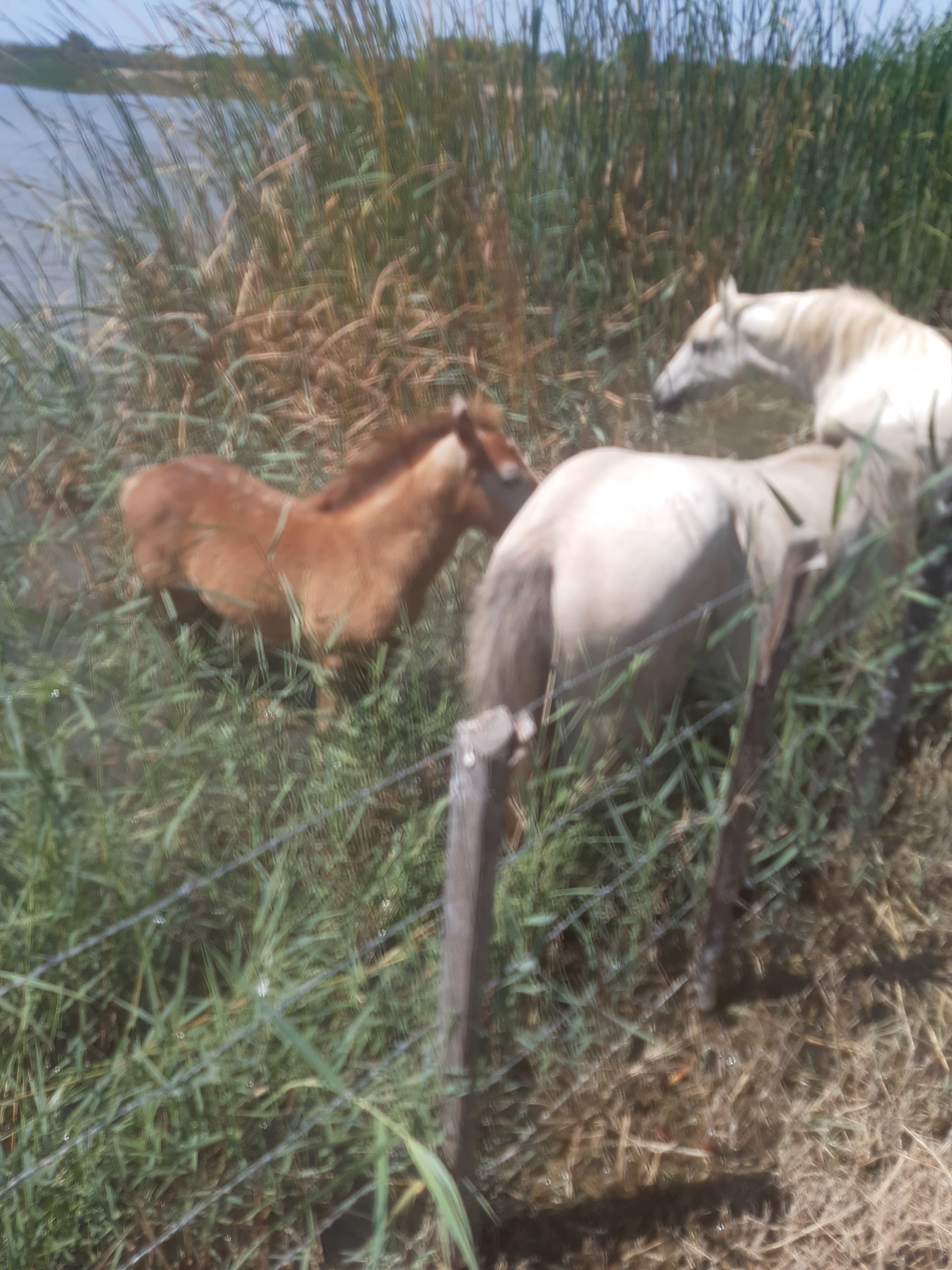 Photo n° 5 de l'avis de Hippolyte.a fait le 06/08/2022 à 13:28