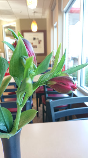 Fast Food Restaurant «Chick-fil-A», reviews and photos, 4812 Northwest Hwy, Crystal Lake, IL 60014, USA