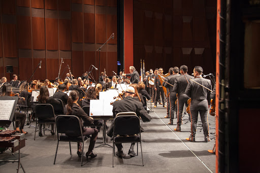 Orchestra Frisco