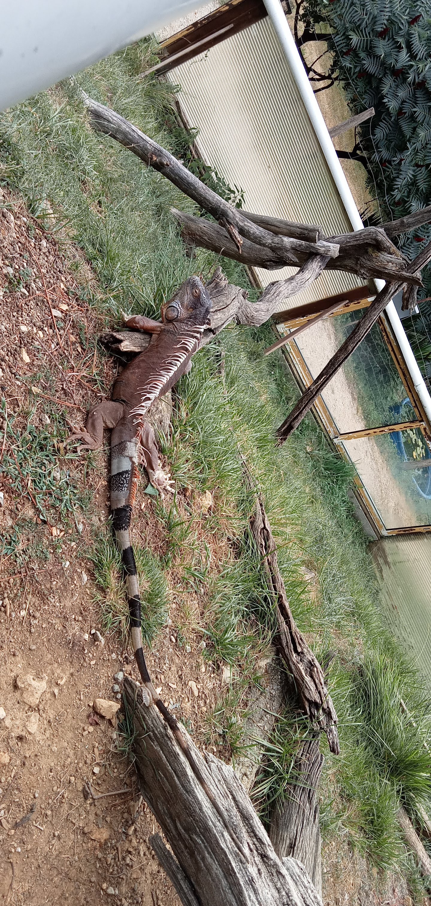 Photo n° 2 de l'avis de Nathalie.a fait le 05/08/2022 à 07:23