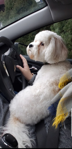 Pet Supply Store «PetSmart», reviews and photos, 2801 Pine Lake Rd, Lincoln, NE 68516, USA