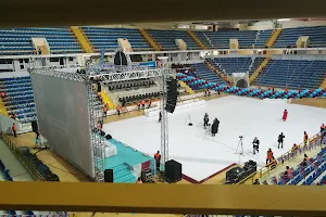 Hayri Gür Arena image