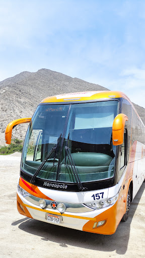 Movil Bus - Terrapuerto del Norte Lima