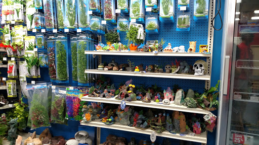 Pet Supply Store «Pet Supermarket», reviews and photos, 4220 Florida Ave S, Lakeland, FL 33813, USA