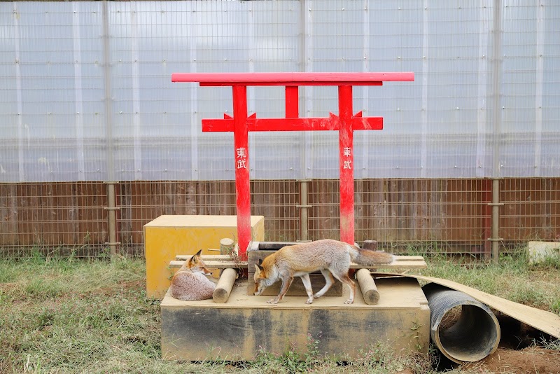 ふる里の動物たち