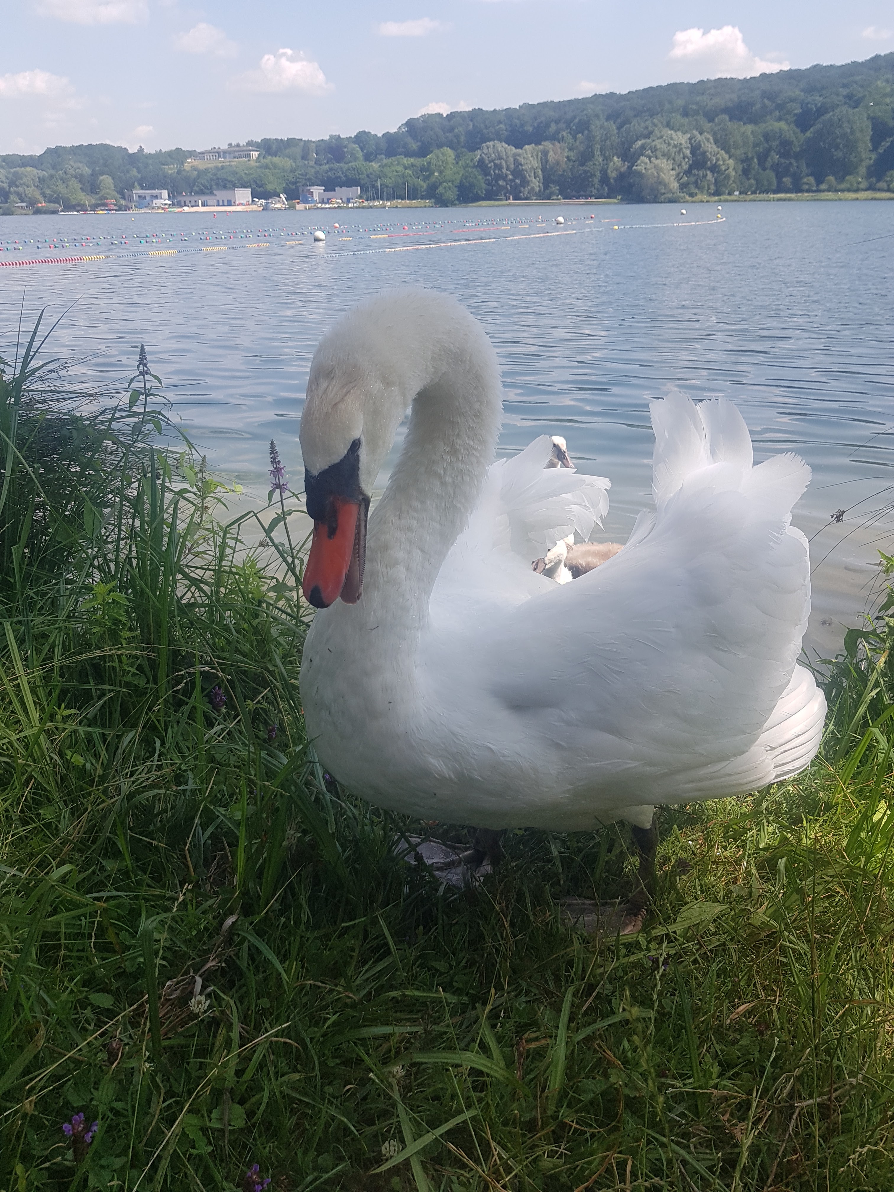Photo n° 5 de l'avis de Chantal.e fait le 19/06/2021 à 17:43