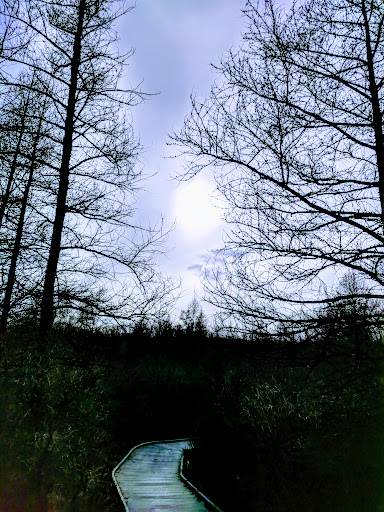 Nature Preserve «Tom S Cooperrider-Kent Bog State Nature Preserve», reviews and photos, 1028 Meloy Rd, Kent, OH 44240, USA