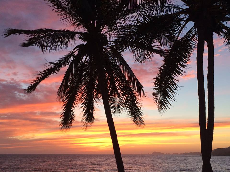 Marti Anderson 95521