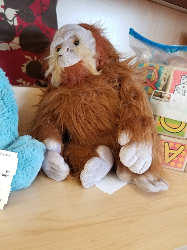 Discount Store «Big Lots», reviews and photos, 200 Sycamore St #151, Elizabethtown, KY 42701, USA