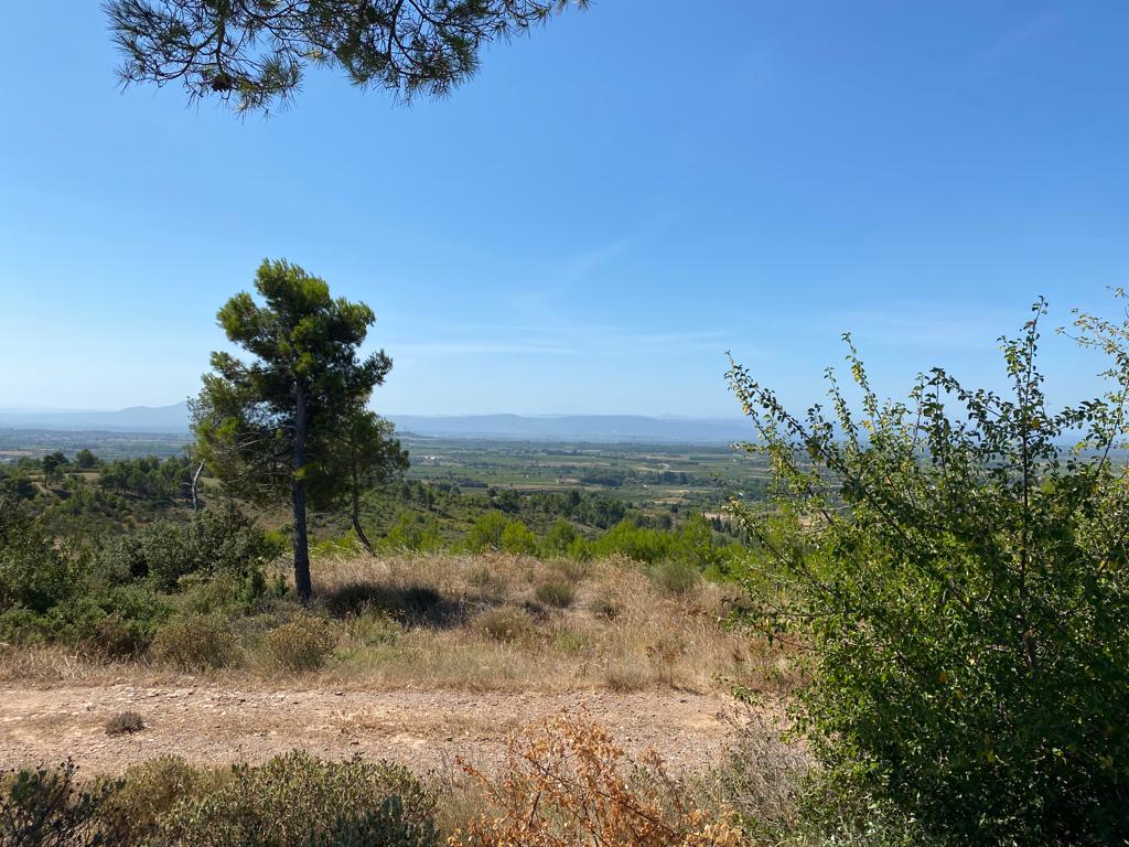 Photo n° 1 de l'avis de Mehdi.a fait le 11/08/2023 à 21:23