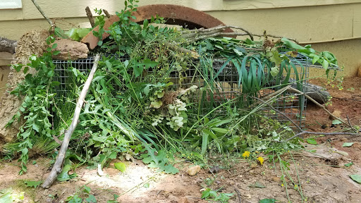 Pest Control Service «Attic Kings», reviews and photos