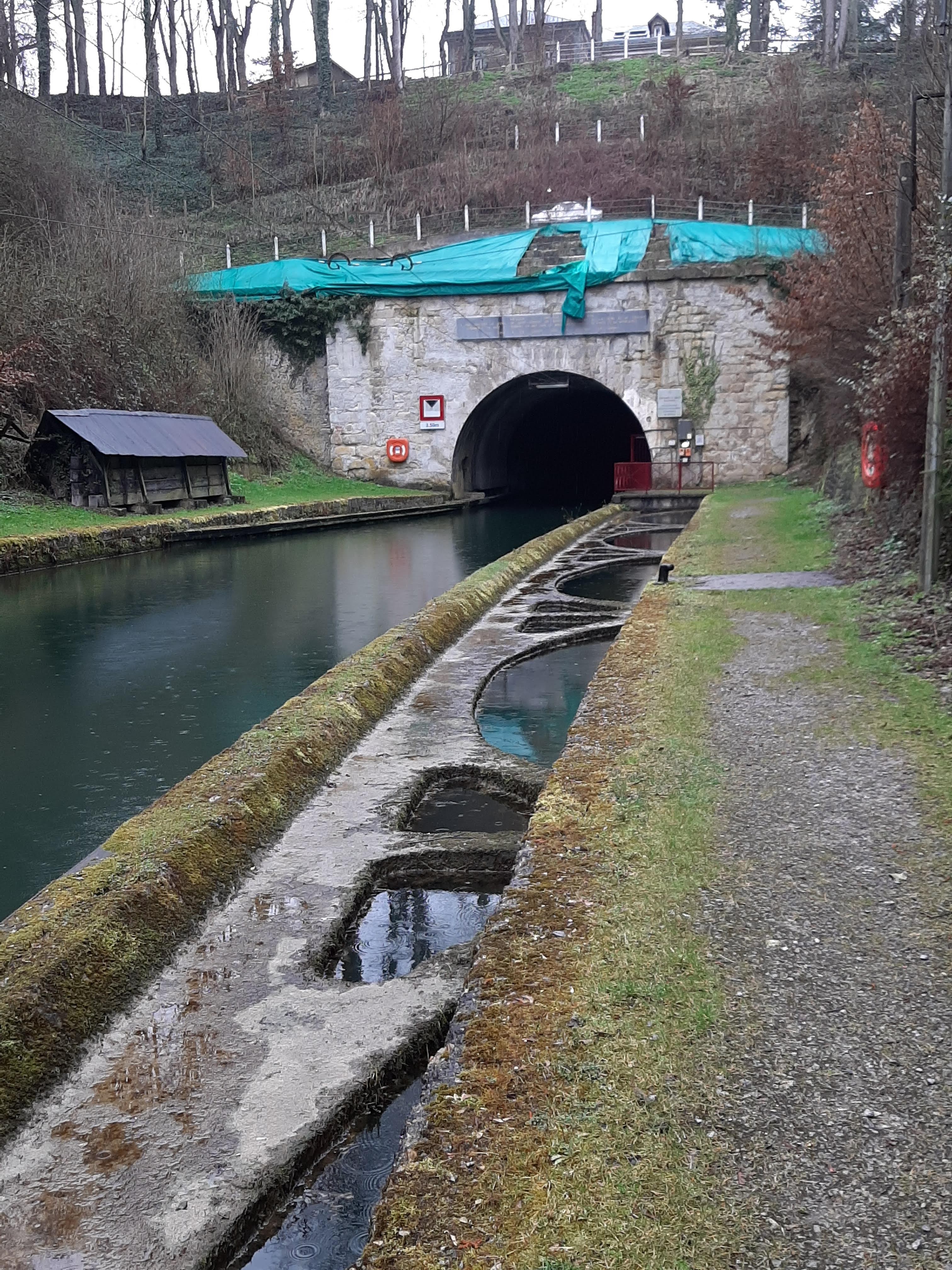 Photo n° 4 de l'avis de Jean.v fait le 16/03/2021 à 16:22