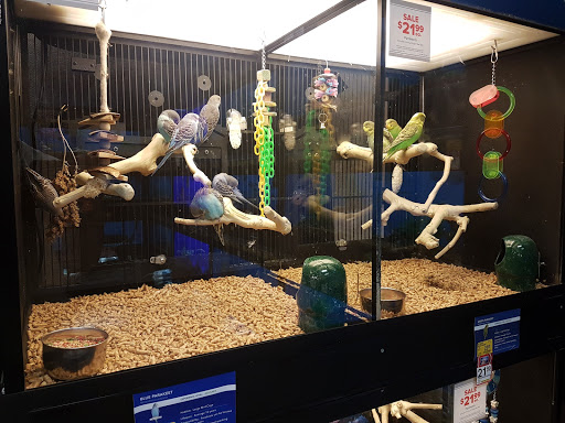 Pet Supply Store «PetSmart», reviews and photos, 6050 Peachtree Pkwy, Norcross, GA 30092, USA