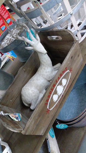 Home Improvement Store «Tractor Supply Co.», reviews and photos, 5359 W US Hwy 90, Lake City, FL 32055, USA