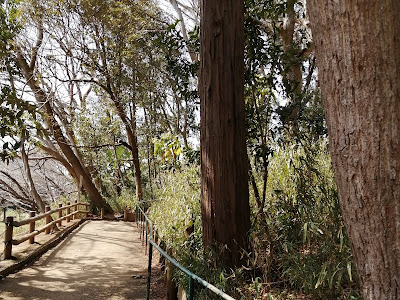 [10000ダウンロード済み√] ���っくり 公園 背景 204293-ゆっくり 背景 公園