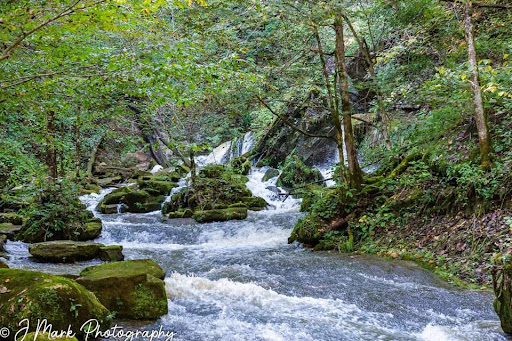 Park «Cave River Valley Park», reviews and photos, 6031-6871 N Cave River Valley Rd, Campbellsburg, IN 47108, USA