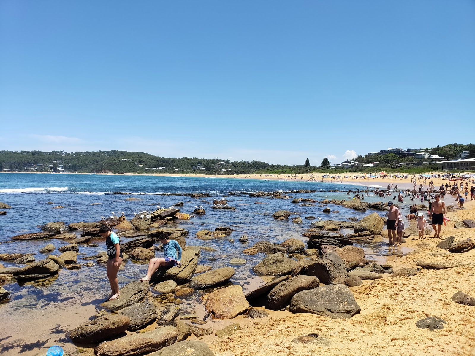 Macmasters Beach photo #8