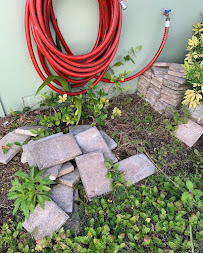 Blake Landscaping - Photo 3 - Car repair in , Tampa