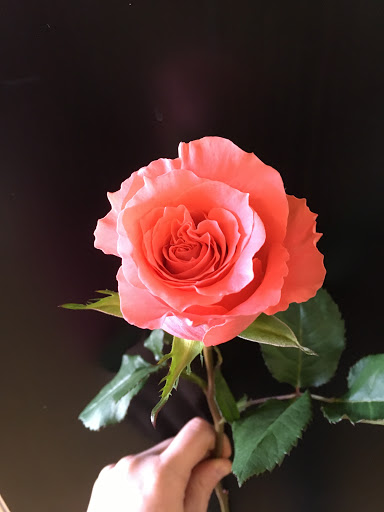 Florist «Parker Blooms», reviews and photos, 11153 S Parker Rd, Parker, CO 80134, USA
