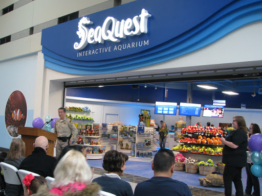 Aquarium «SeaQuest Interactive Aquarium Las Vegas», reviews and photos, 3528 S Maryland Pkwy #340, Las Vegas, NV 89169, USA