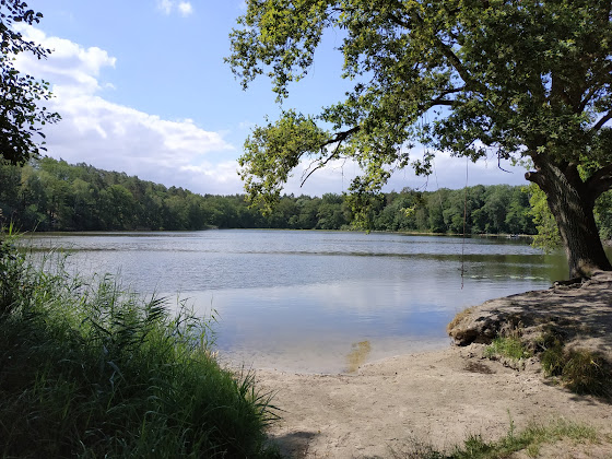 Photos des visiteurs Gîte Finnhütten Waldesruh 14715 Stechow-Ferchesar