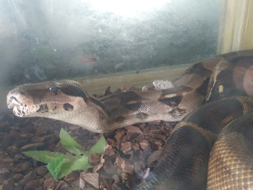 Pet Store «Gills And Thrills Pet Shop», reviews and photos, 204 E 8th St, Lockport, IL 60441, USA