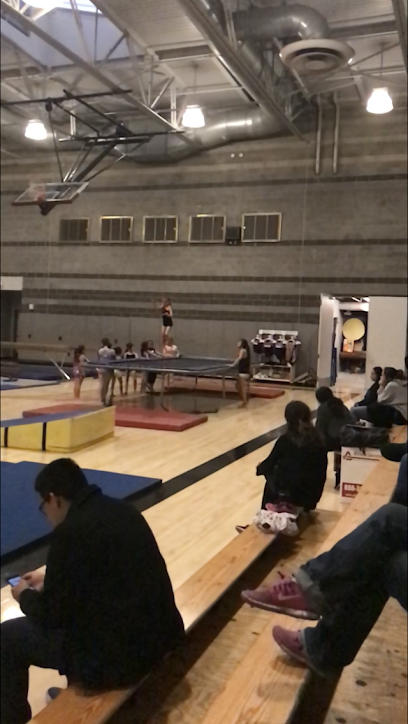 Rips & Ties Gymnastics - 1305 E Cameron Ave, West Covina, CA 91790