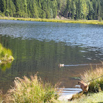 Photo n°39 de l'avis de Matthias.l fait le 20/08/2019 à 21:26 sur le  Berghotel Mooshütte Berggasthof à Lohberg