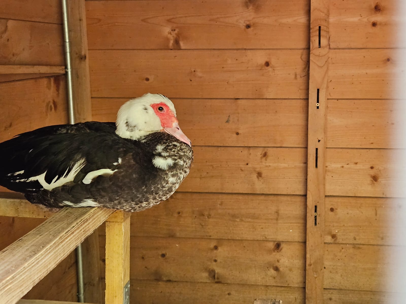 Photo n° 2 de l'avis de Chris. fait le 05/08/2023 à 05:18