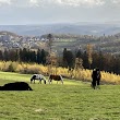 Flugplatz-Hegenscheid GmbH