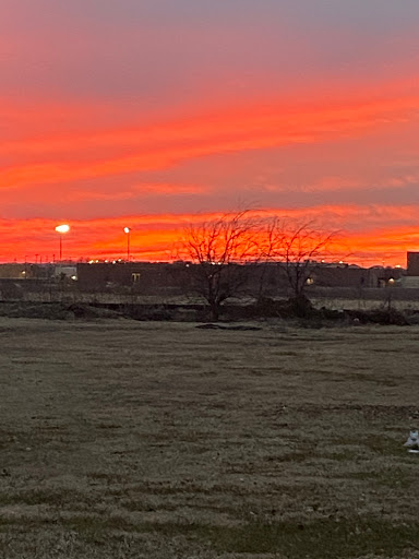 Pet cemetery Frisco