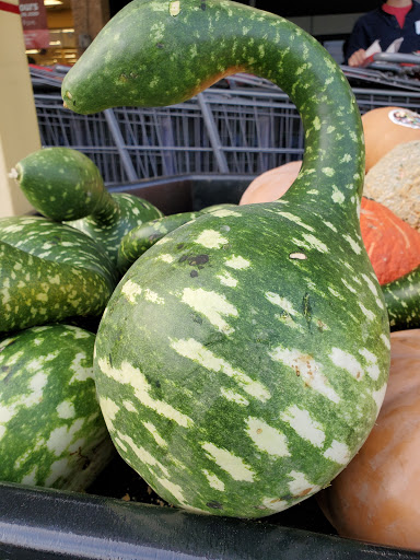 Grocery Store «Hannaford Supermarket», reviews and photos, 333 Brook St, Clinton, MA 01510, USA