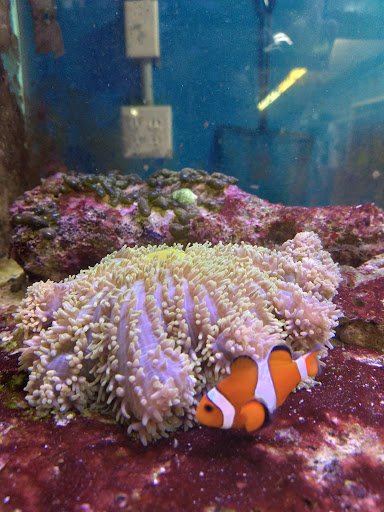 Pet Store «Marineland Pet Center», reviews and photos, 412 Oak Forest Dr, Onalaska, WI 54650, USA