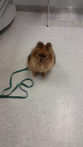 Pet Supply Store «Petco Animal Supplies», reviews and photos, 200 Edwards Blvd b, Lake Geneva, WI 53147, USA