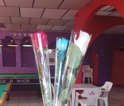 Ladies- Bar Bonanza photo