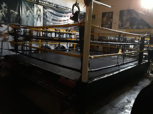 As del Boxeo