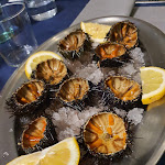 Photo n°1 de l'avis de luca. fait le 31/03/2022 à 15:18 sur le  Ristorante Pizzeria La Darsena à Grado