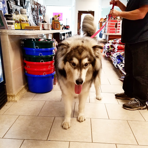 Farm Shop «KnA Farms Inc», reviews and photos, 23009 E Main St, Armada, MI 48005, USA