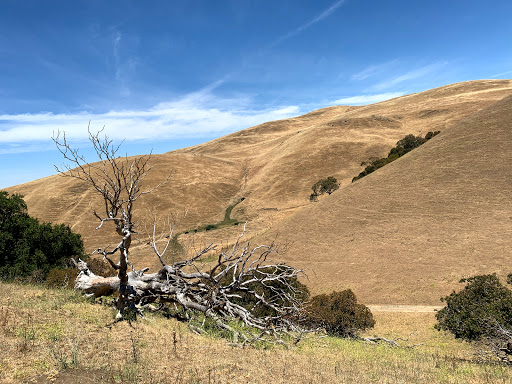 Sierra Trail
