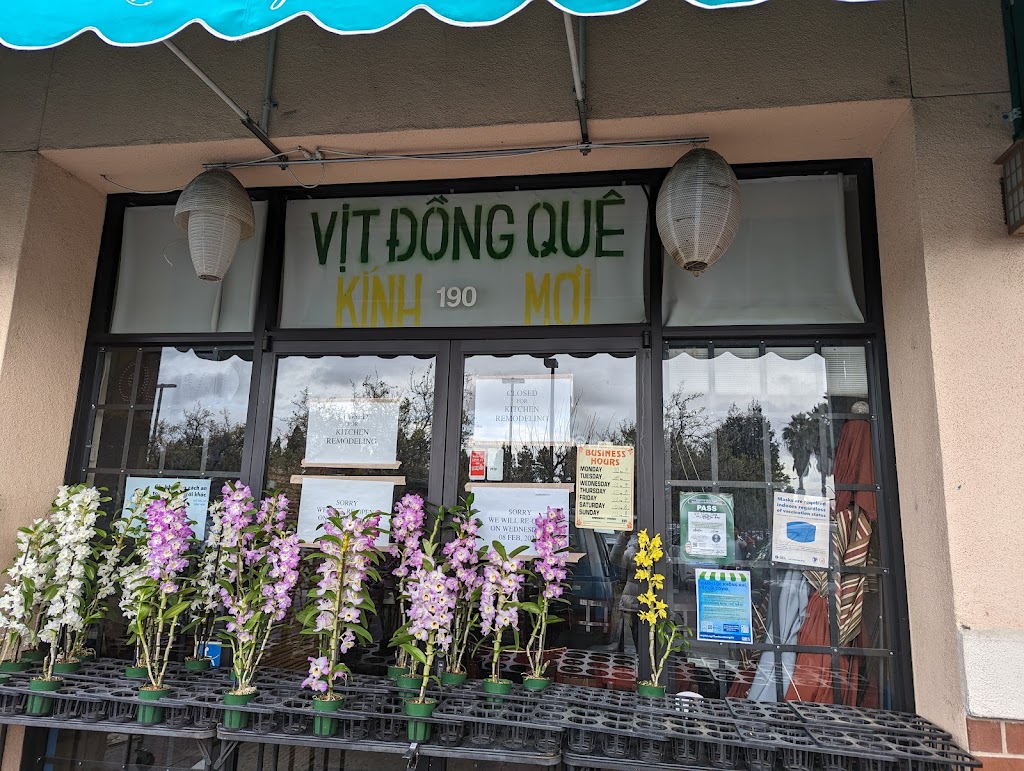 Vịt Đông Quê 95122
