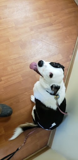 Pet Supply Store «Petco Animal Supplies», reviews and photos, 239 Newburyport Turnpike, Topsfield, MA 01983, USA